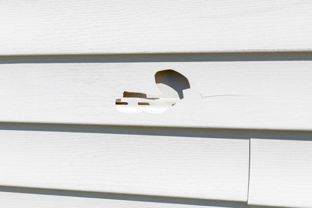 How To Choose The Right Materials for Your Siding Installation in 'Paulina, LA